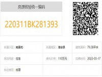 其它图